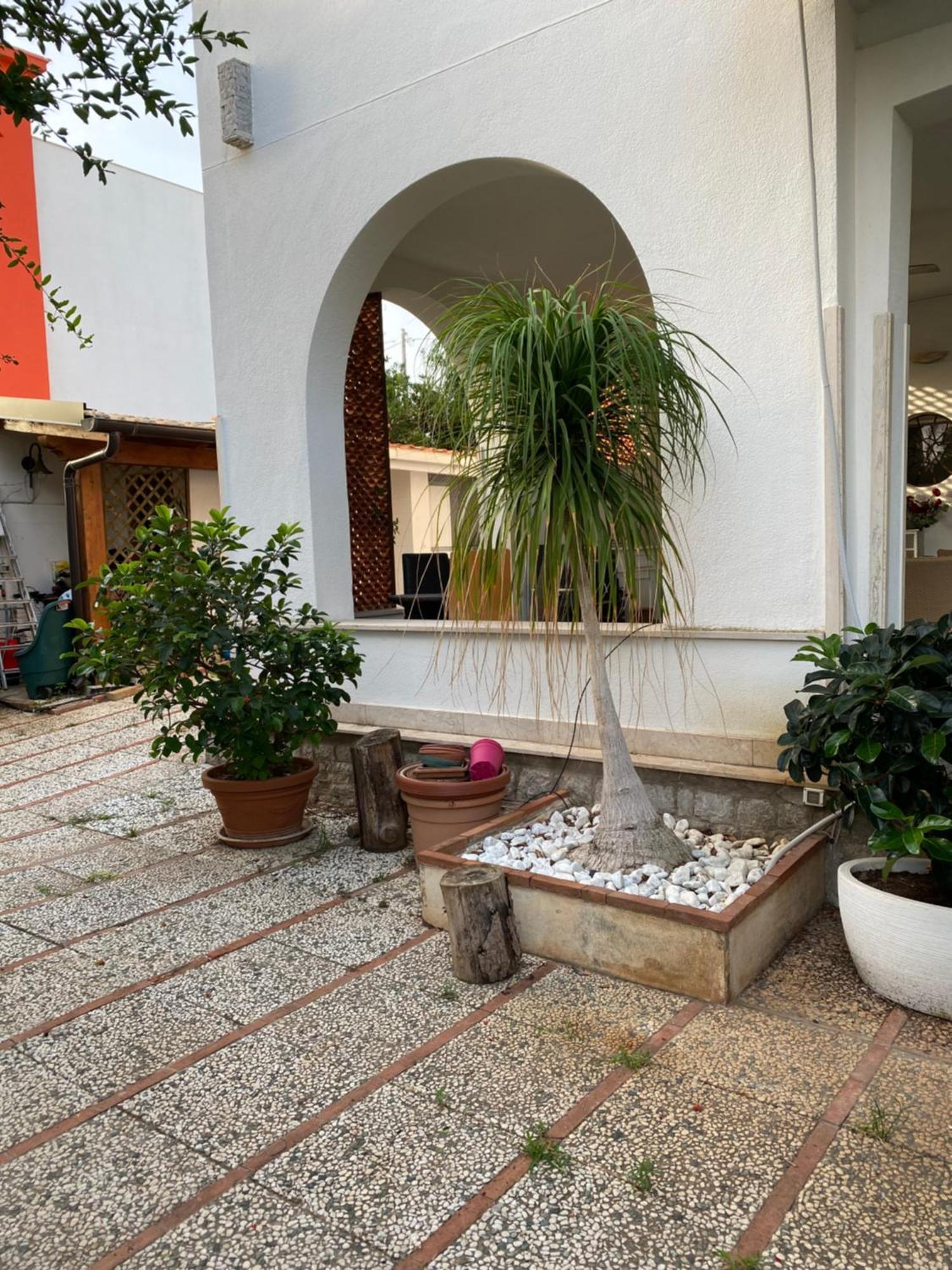 Holiday & House - Imparato Carini Costa Verde 外观 照片